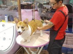 -FAELING PETS美天灵宠物(富力广场店)