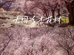 -伊犁河风景区