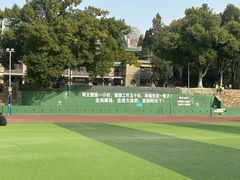 -武汉大学-樱园