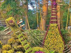 -杭州植物园