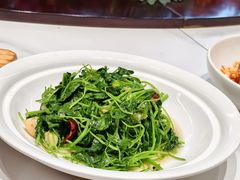 白灼西兰花苔-食味楼(枫林湾店)