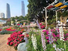 -海心沙亚运公园