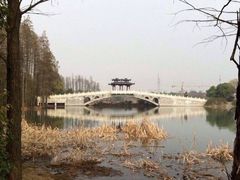 -东湖落雁景区