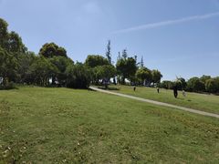 -广富林郊野公园