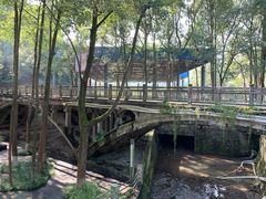 -西南交通大学(峨眉校区)