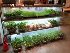 -鲜货俚鲜火锅(青果路店)