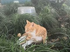 -苏堤停车场