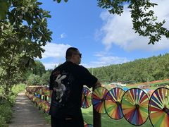 -武陵山森林公园