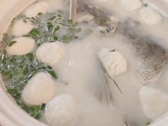 -紫藤园·天目湖大鱼头(南山竹海店)