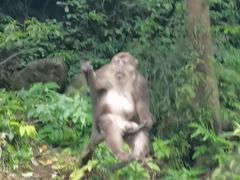-西岭雪山大飞水景区