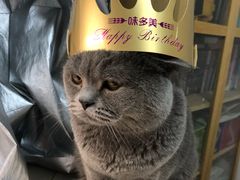 -味多美蛋糕(东直门店)
