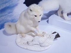 -中国湿地博物馆
