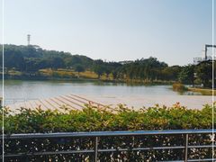 -东莞植物园