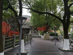 -白马涧龙池景区