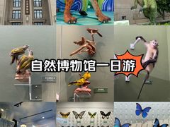 -国家自然博物馆
