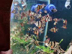 -太平洋海底世界