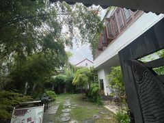 -金山嘴渔村