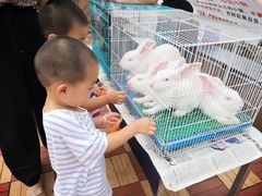 -东风公园