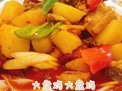 -新疆红柳花餐厅(新洲店)