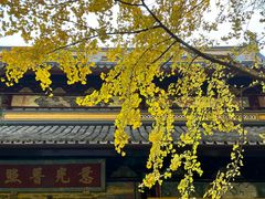 -西园戒幢律寺