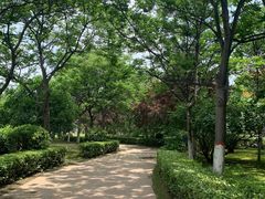 -咸阳湖景区-古渡公园