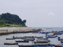 -海源公园