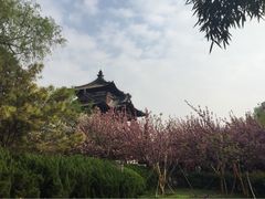 iphone_upload_pic-西安青龙寺遗址景区