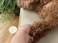 -爱侣宠医·鹦鹉专科·小型哺乳类·异宠专科(灵石路店)