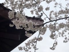-堤角公园