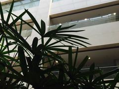 -上海交通大学医学院附属瑞金医院(总院)