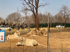 -秦皇岛野生动物园