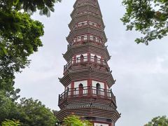 -中山公园(石岐街道)
