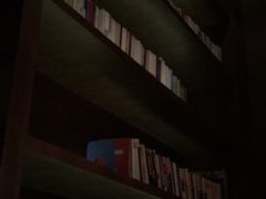 -深圳湾木棉花酒店