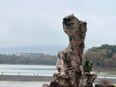 -江南大学(蠡湖校区)