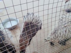 -武汉紫薇都市田园