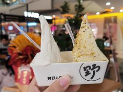 -野人先生Gelato(上海长宁龙之梦店)