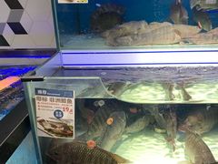 水产区-盒马鲜生(岭南新世界店)