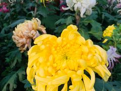 -汇龙潭
