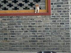 -高旻寺