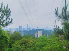 -仙岳公园