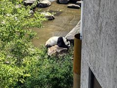 -沈阳森林动物园