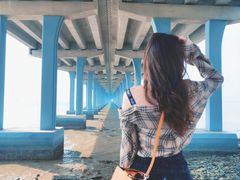 -宝安西湾红树林湿地公园