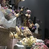 用特别的花朵点缀特别的春天～