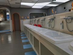 -龙格亲子游泳·水育早教运动中心(绿城店)
