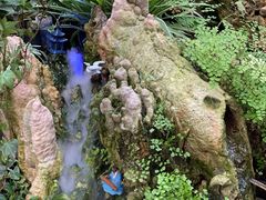 -秦美花卉(天朗·莱茵小城2期店)