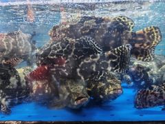 -徐记海鲜·宴会(大唐西市|丰庆店)