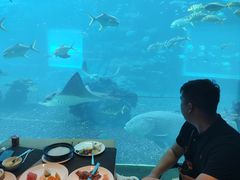 -海棠湾洲际-涛·海底餐厅·美人鱼·自助餐·海底隧道