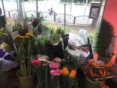 -双季花艺园艺市场(浦东店)