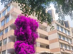 -四川大学(望江校区)