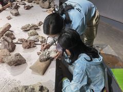 -世界恐龙谷景区